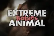 'Extreme Animal Babies' title graphic.