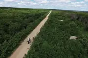 An aerial view of a solo motorcyclist riding through a long, straight dirt highway in the Amazon.