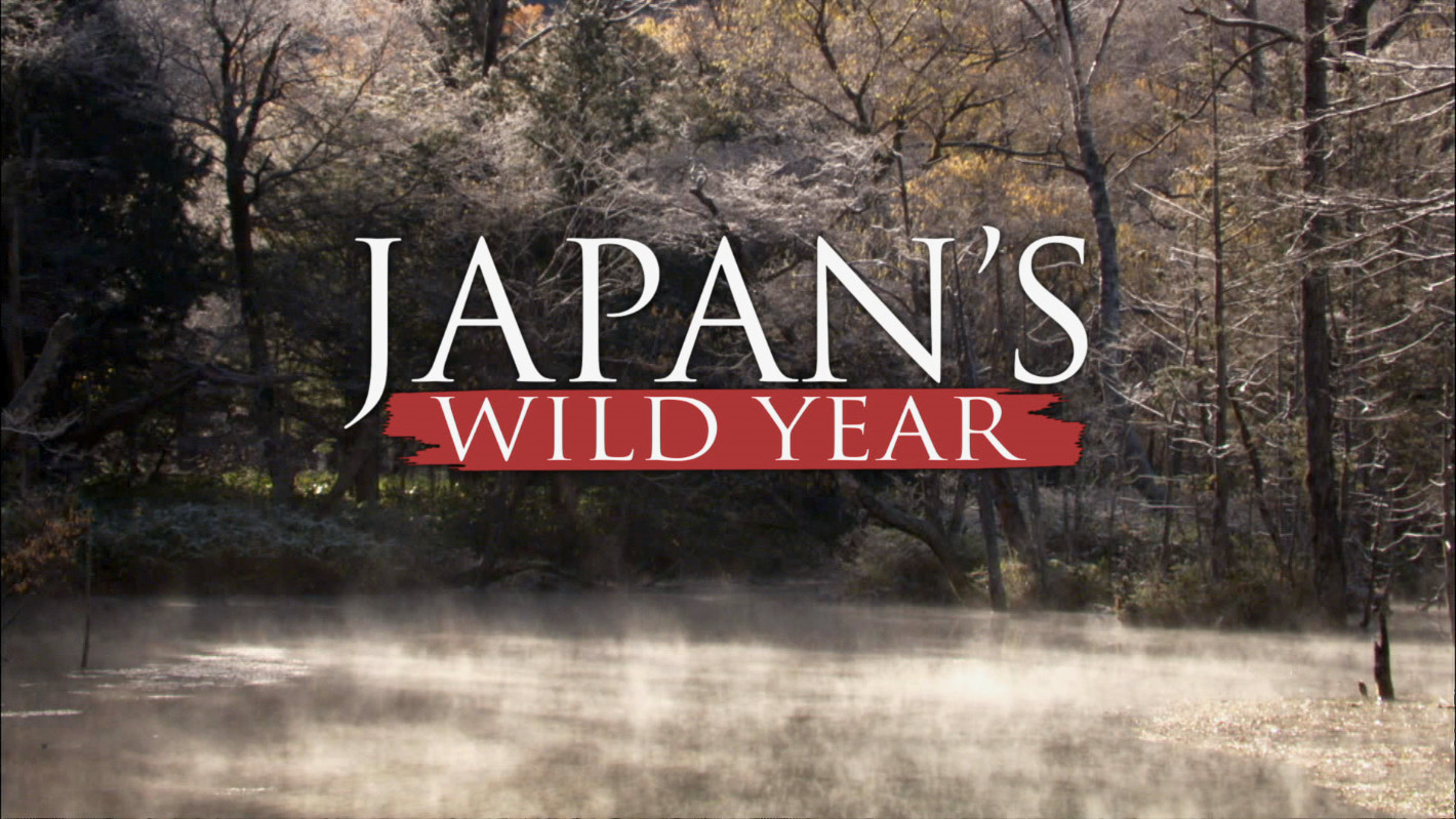 Вилд год. Japan Wild. One Wild year.