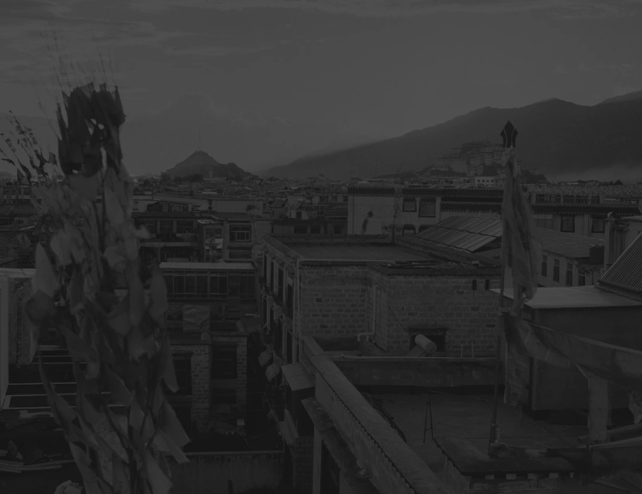 Skyline of Lhasa, Tibet, taken from a rooftop restaurant, with Potala Palace in the distance.